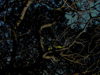 /album/galerie-de-photos5/tn-01-jpg/